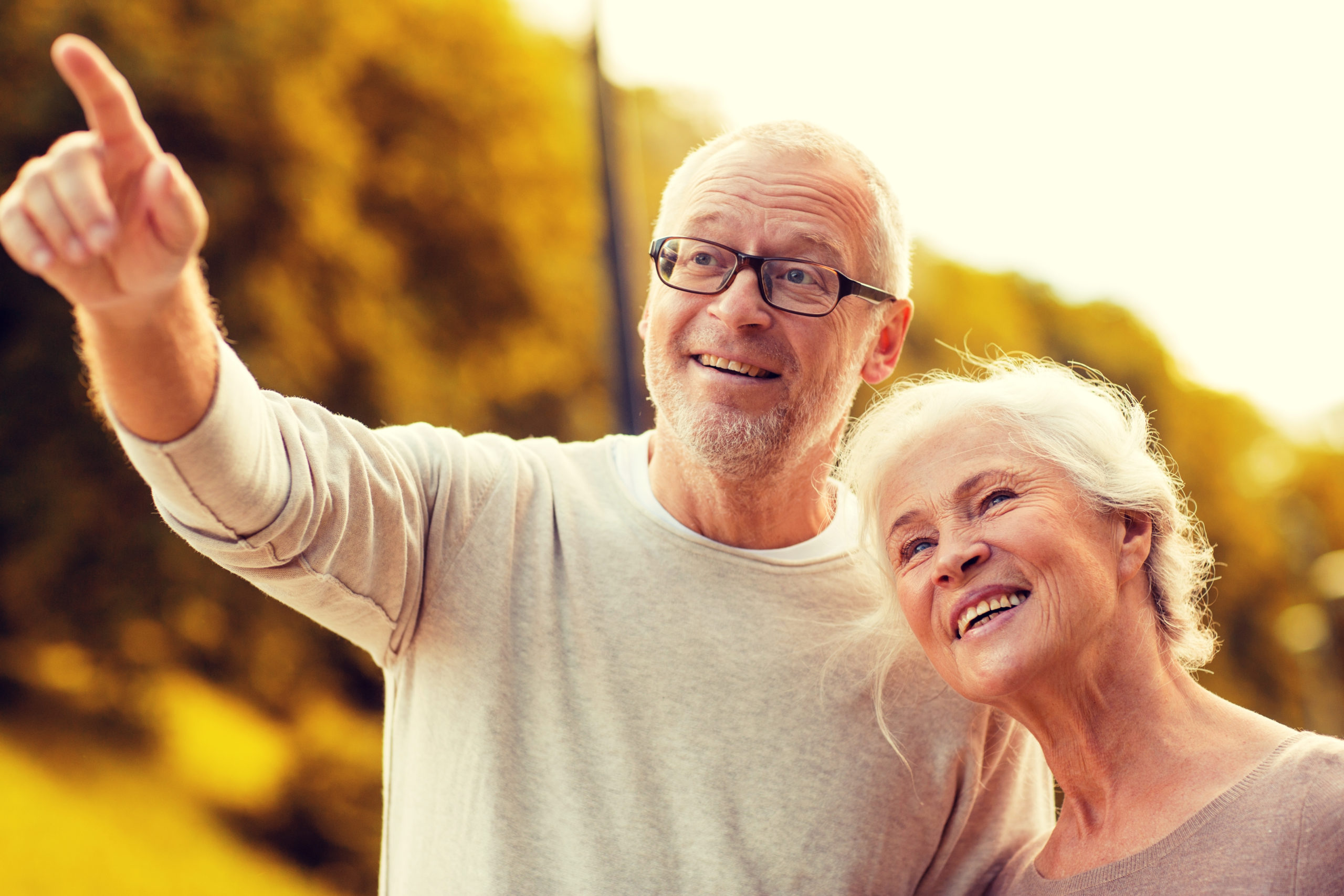 family, age, tourism, travel and people concept - senior couple pointing finger in park